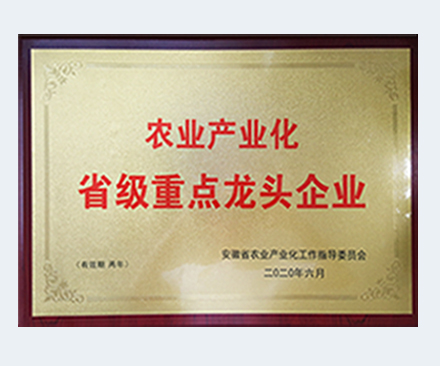 農(nóng)業(yè)產(chǎn)業(yè)化省級(jí)重點(diǎn)龍頭企業(yè)