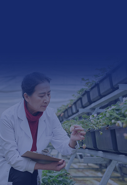 為農(nóng)服務(wù)