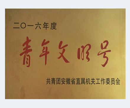 2016年度青年文明號(hào)