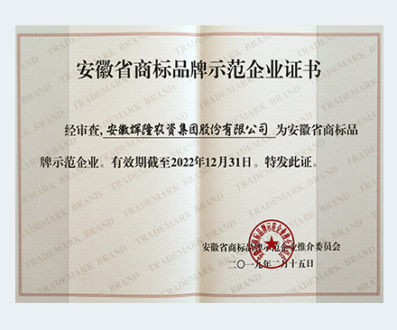 安徽省商標(biāo)品牌示范企業(yè)