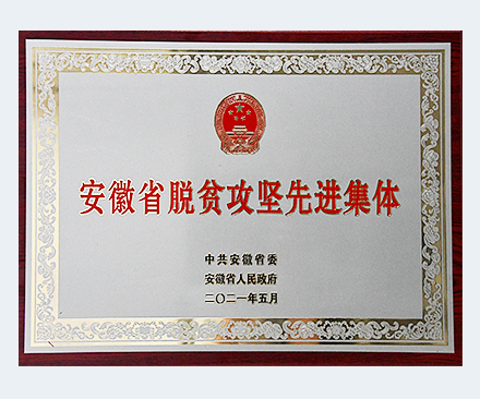 安徽省脫貧攻堅(jiān)先進(jìn)集體